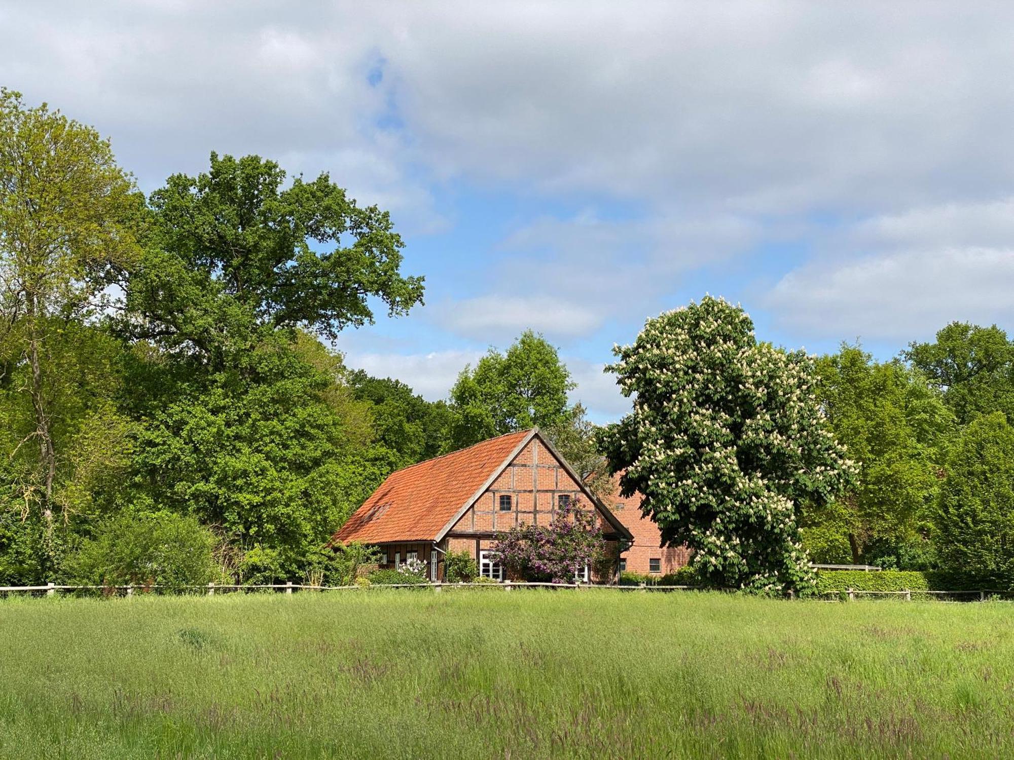 Ferienhaeuser Weitblick Gilten Exteriör bild